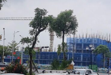 Chính chủ bán đất Cự Khê Thanh Oai, ngay khu đô thị Thanh Hà, 81m2. Giá 10 tỷ