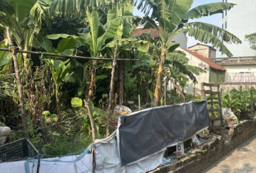 🔥c🔥  ĐẤT RỘNG 195M² – MẶT TIỀN QUYỀN LỰC– CỰC KỲ PHÙ HỢP CHIA LÔ ĐẦU TƯ 🔥