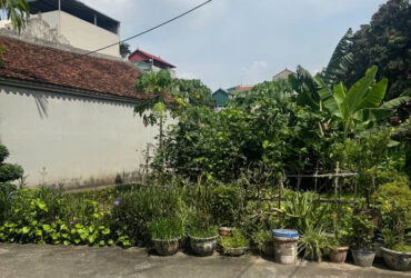🔥🔥🔥ĐẤT ĐẸP NGUYỆT ÁNG-ĐẠI ÁNG- NGÕ TO – Ô TÔ ĐỖ CỬA-HƠN 8 TỶ 🔥 🔥 🔥