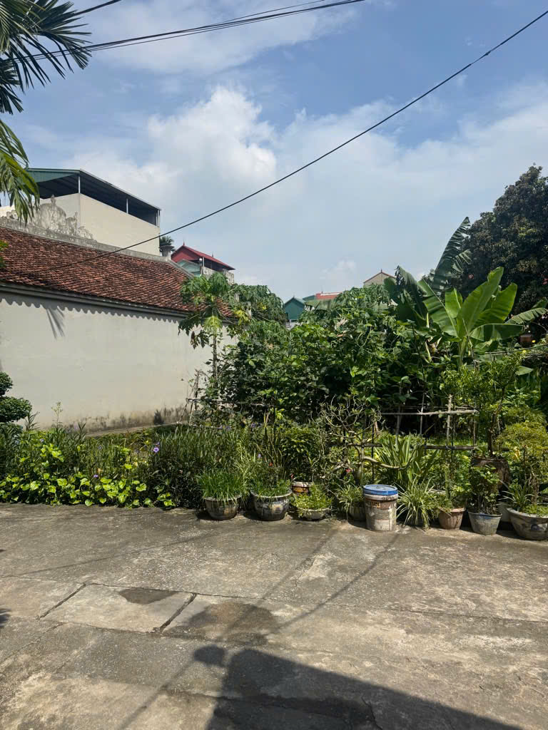 🔥🔥🔥ĐẤT ĐẸP NGUYỆT ÁNG-ĐẠI ÁNG- NGÕ TO – Ô TÔ ĐỖ CỬA-HƠN 8 TỶ 🔥 🔥 🔥