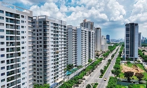 Kinh nghiệm mua nhà đất sinh lời cao cho người mới đầu tư