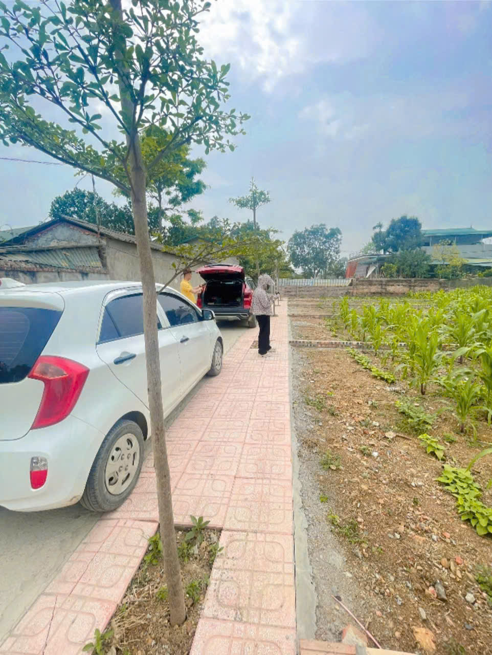 Chính Chủ Gửi Bán 144 m 50 thổ cư  chỉ 1, x tỷ 
Nhuận Trạch Lương Sơn -HB (PHÚ THỌ MỚI)