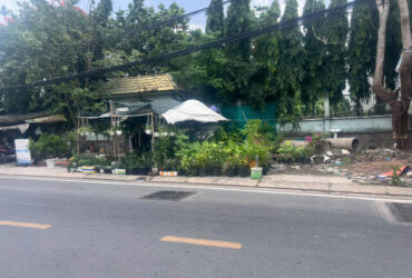 Mt Đào Sư Tích 720m2 ( 300m2 ) thổ cư giá 40 tỷ