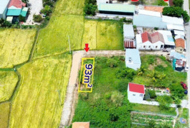 BÁN LÔ GÓC ĐẸP TẠI VÕ KIỆN, DIÊN AN CÁCH VÕ NGUYÊN GIÁP CHỈ 250m.