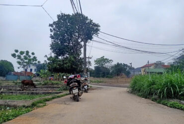 CẦN BÁN LÔ ĐẤT GIÁ CỰC TỐT CHO NHÀ ĐẦU TƯ THÔNG THÁI – ĐẦY ĐỦ TIỆN ÍCH