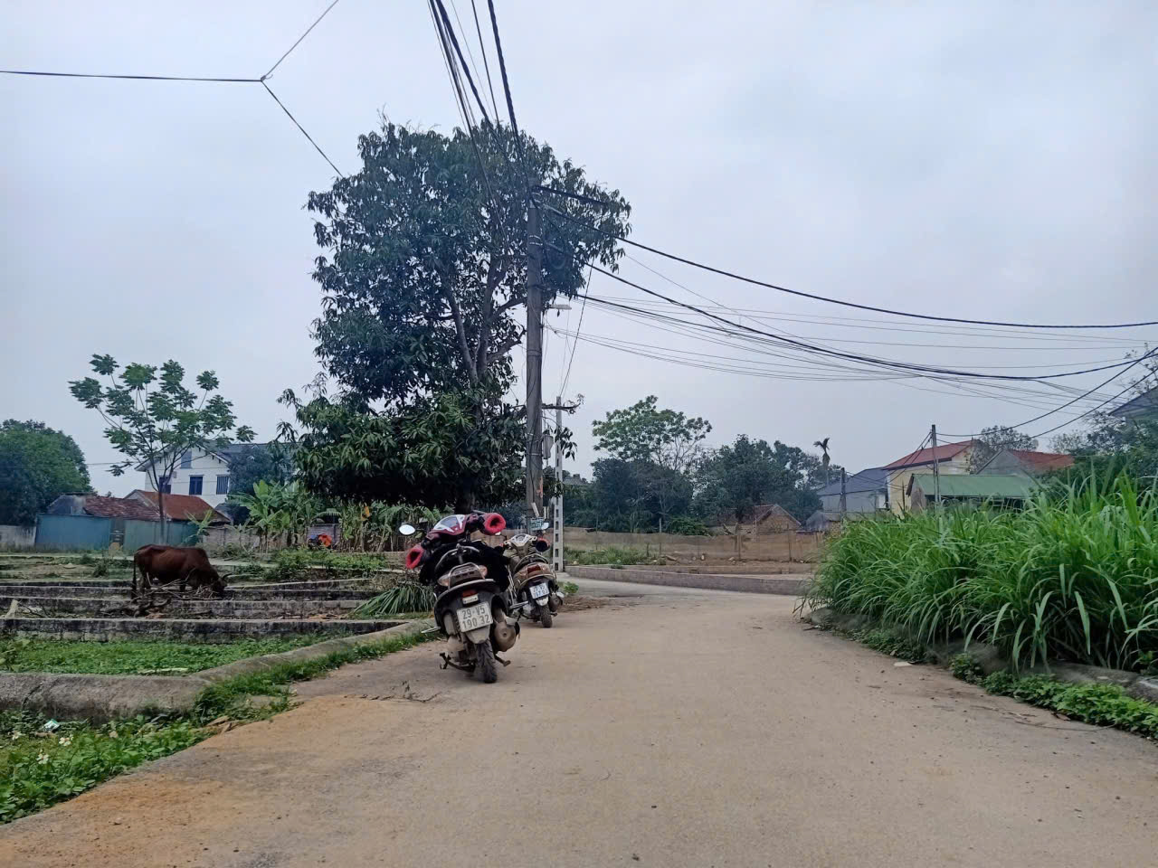 CẦN BÁN LÔ ĐẤT GIÁ CỰC TỐT CHO NHÀ ĐẦU TƯ THÔNG THÁI – ĐẦY ĐỦ TIỆN ÍCH