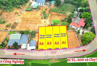 BÁN ĐẤT GIÁ SIÊU MỀM – TDP NINH HÀ, XÃ KIM LONG, HUYỆN TAM DƯƠNG, VĨNH PHÚC