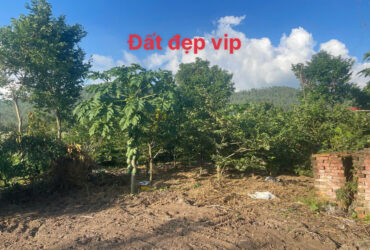 MỞ BÁN LÔ ĐẤT F0 SIÊU PHẨM , ĐẤT NGHỈ DƯỠNG TẠI ĐẠI ĐÌNH – TAM ĐẢO VĨNH PHÚC