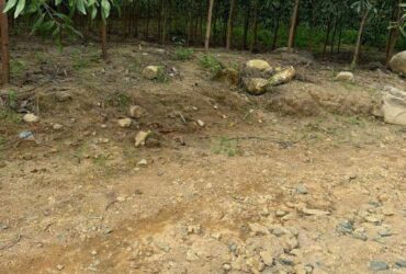 BÁN LÔ ĐẤT GIÁ CHỈ 180tr Dt:532,6m2 ( ngang 9m)