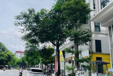 Nhà mặt Phố Khương Đình-Kinh doanh sầm uất- 48m, 7 tầng, Thang máy. 22.9 tỷ