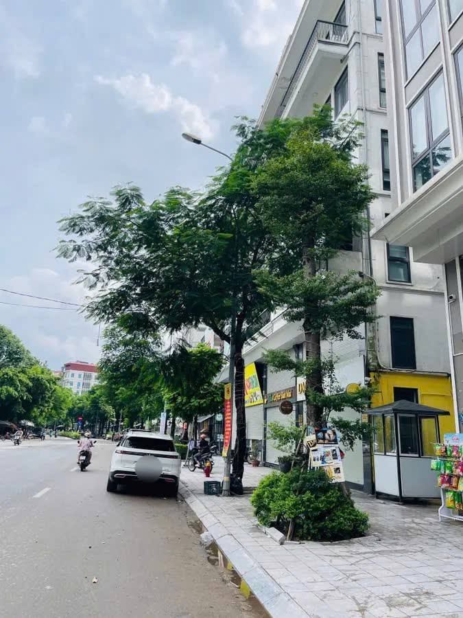 Nhà mặt Phố Khương Đình-Kinh doanh sầm uất- 48m, 7 tầng, Thang máy. 22.9 tỷ