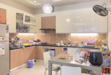 HIẾM, BÁN NHÀ ĐẸP PHÚC ĐỒNG LONG BIÊN, THANG MÁY-PHÂN LÔ-VỈA HÈ-OTO TRÁNH-45M NHỈNH 13 TỶ(TL)
