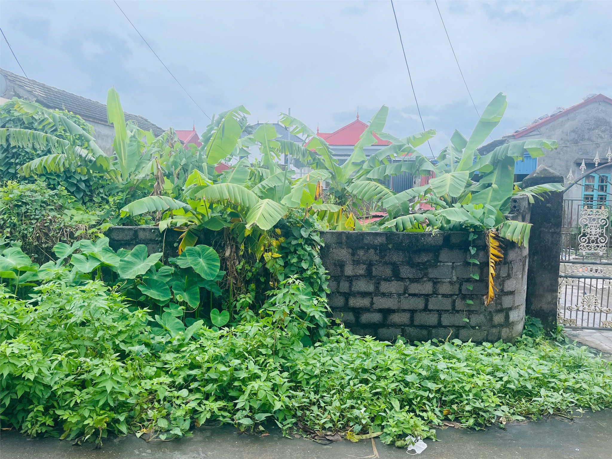 CẠNH VINHOMES KIẾN THỤY – LÔ ĐẸP 89M² ĐƯỜNG 6M, GIÁ CHỈ 1,9X TỶ  ZALO 0567 222 555