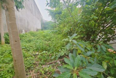 Bán đất 1000m²  P.Biên Hòa mới,gần chợ Hóa An,SHR đường xe hơi,giá mềm