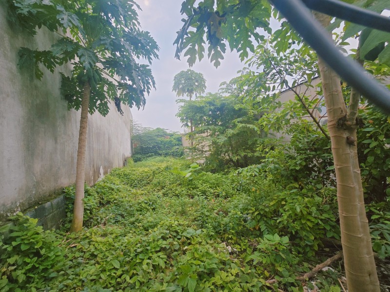 Bán đất 1000m²  P.Biên Hòa mới,gần chợ Hóa An,SHR đường xe hơi,giá mềm