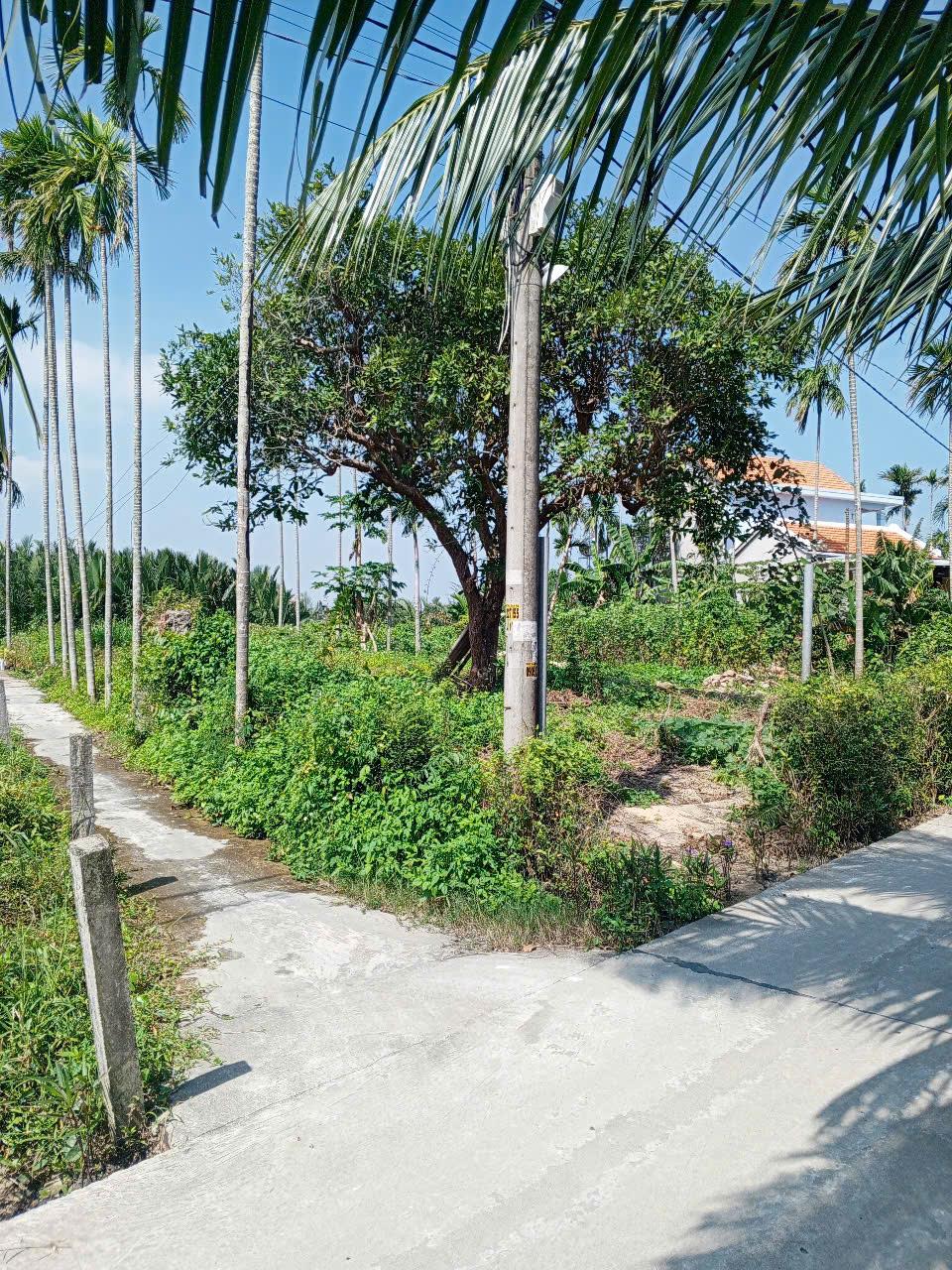 Chủ kẹt tiền cần bán lô đất tại MT đường DX 017 có 1000 m² đất ở., Cẩm Thanh giá 18 tỷ