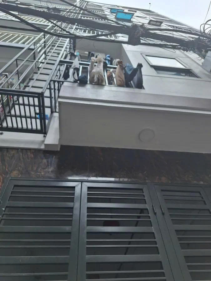 Bán nhà 46M2 x 7 tầng , MT 3.4M  Nhà Dòng tiền – CCMN Tân Triều – Thanh Trì – Giá 11.5 tỷ