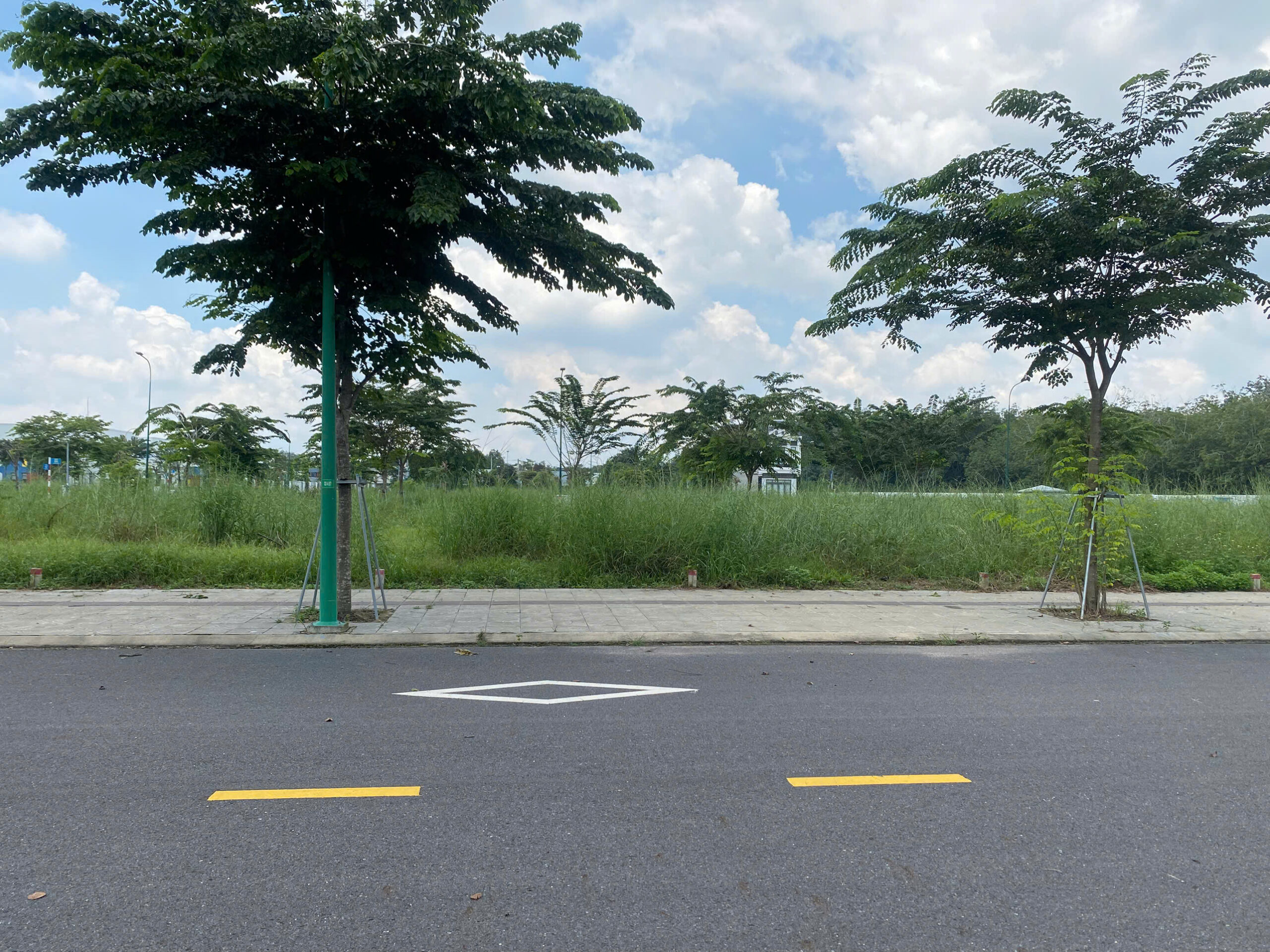 Đầu Tư Richland Bình Dương – Vị Trí Vàng, Lợi Nhuận Bền Vững