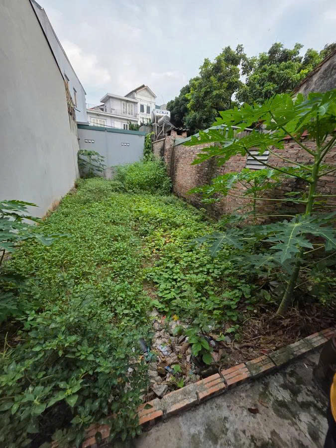 BÁN ĐẤT HÒA BÌNH – HÀ ĐÔNG 62M, MT 4.5m, giá 4.25 tỷ – Đẹp – Vuông vắn