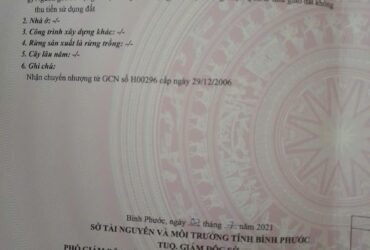 BÁN 9 HÉC CAO SU & ĐIỀU – THỰC TẾ GẦN 10 HÉC – BÙ ĐĂNG, BP, 5,8 TỶ