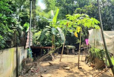 Bán đất 79m² Dĩ An, SHR thổ cư,đường xe hơi,gần chợ Phú An,giá cực kì rẻ