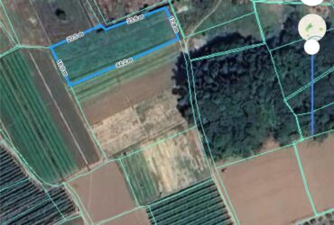 TẶNG 4.325M ĐẤT NGAY CỤM CÔNG NGHIỆP ĐẮC LỘC, KHÁNH HOÀ