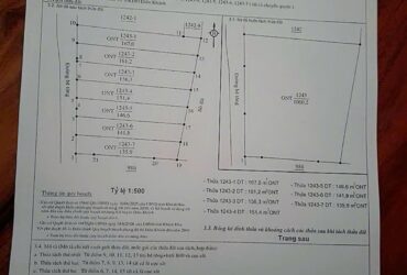 MỞ BÁN ĐẤT NÊN PHÂN LÔ CHỈ 390TR TẠI KHÁNH HOÀ