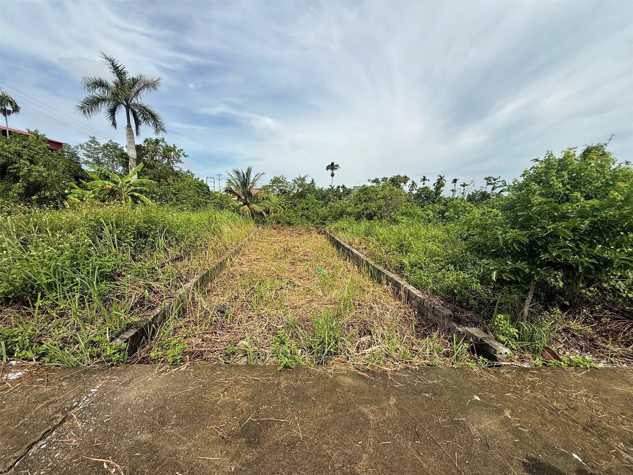 Đất Hòa Nghĩa giá hiếm chỉ 1,x tỷ – gần đường lớn, tiềm năng sinh lời cực cao! ZALO 0567 222 555