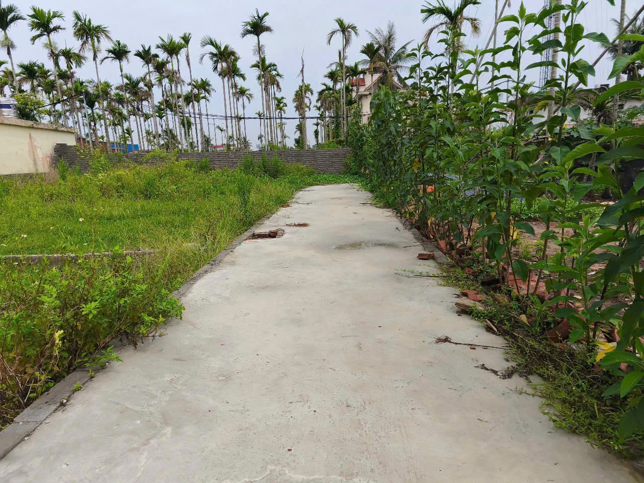 Lô nhỏ 44m² giá hiếm Hoà Nghĩa – gần đường 4 làn, thanh khoản cực nhanh  ZALO 0567 222 555