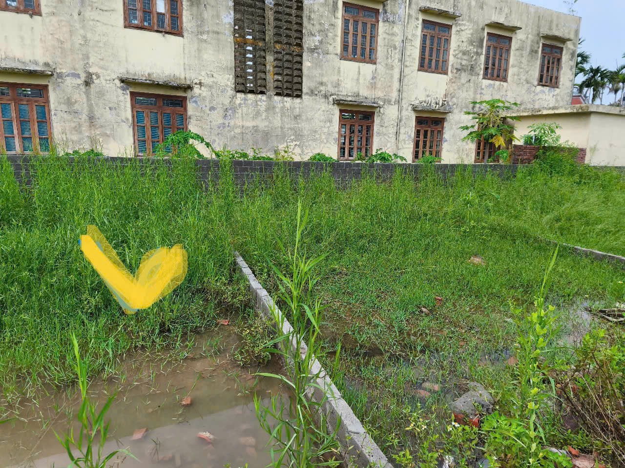 Lô nhỏ 44m² giá hiếm Hoà Nghĩa – gần đường 4 làn, thanh khoản cực nhanh  ZALO 0567 222 555