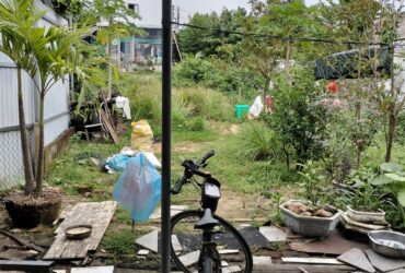 🌟 ĐẤT ĐẸP HÒA THỌ TÂY – VỊ TRÍ TRUNG TÂM, CAO RÁO – CHỈ 2,15 TỶ!