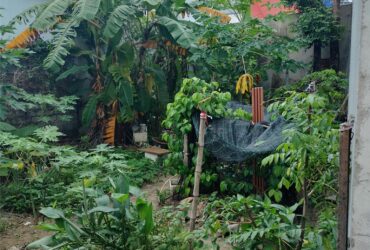 🌟 LÔ ĐẤT HIẾM – ĐẸP – RỘNG NGAY HÒA THỌ ĐÔNG – CHỈ 2,8 TỶ!