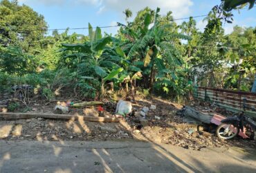 🌟 ĐẤT ĐẸP KIỆT NGUYỄN NHƯ ĐÃI – 150M² RỘNG RÃI – GIÁ CHỈ 2,5 TỶ!