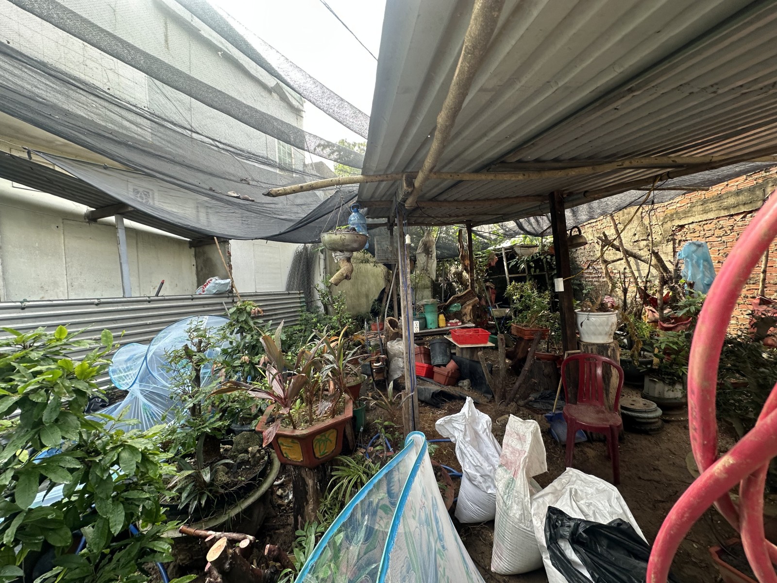 🌟 ĐẤT MẶT TIỀN NGUYỄN NHƯ ĐÃI – VỊ TRÍ KINH DOANH ĐẮC ĐỊA CHỈ 3,6 TỶ!