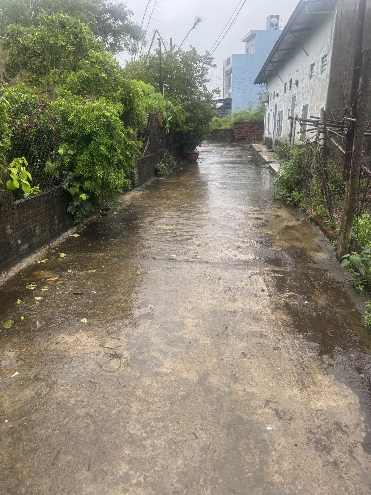 🌟 ĐẤT ĐẸP LƯU QUANG VŨ – KIỆT Ô TÔ TẢI – CHỈ 2,45 TỶ!