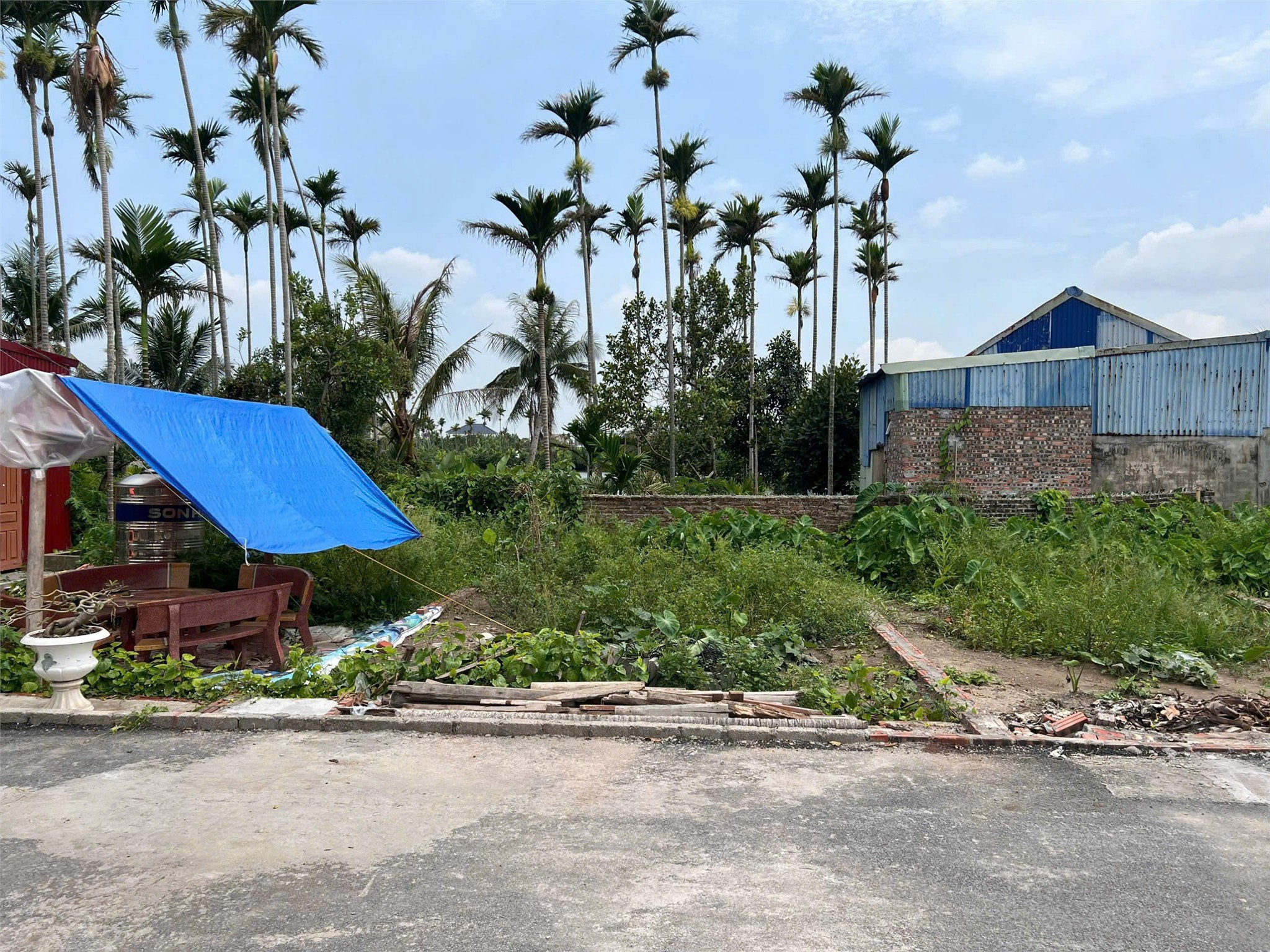 LÔ ĐẸP GIÁ RẺ NHẤT NHÀ MẠC – ĐƯỜNG NHỰA 6M  GIÁ CHỈ 9XX TRIỆU  ZALO 0567 222 555