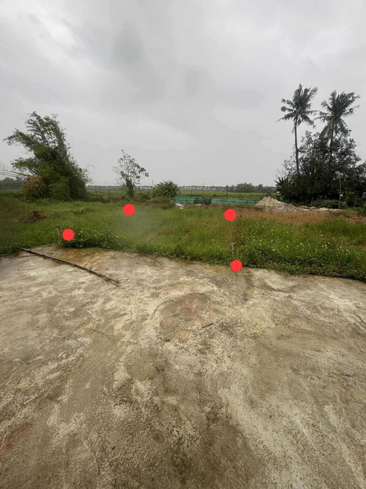 🌟 ĐẤT ĐẸP LƯU QUANG VŨ – KIỆT Ô TÔ TẢI – CHỈ 2,45 TỶ!