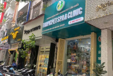 DUY NHẤT 1 CĂN ! MP trần Quốc Hoàn Cầu Giấy vỉ hè ôt tránh KD 45m x 5T nhỉnh 37 tỷ TL