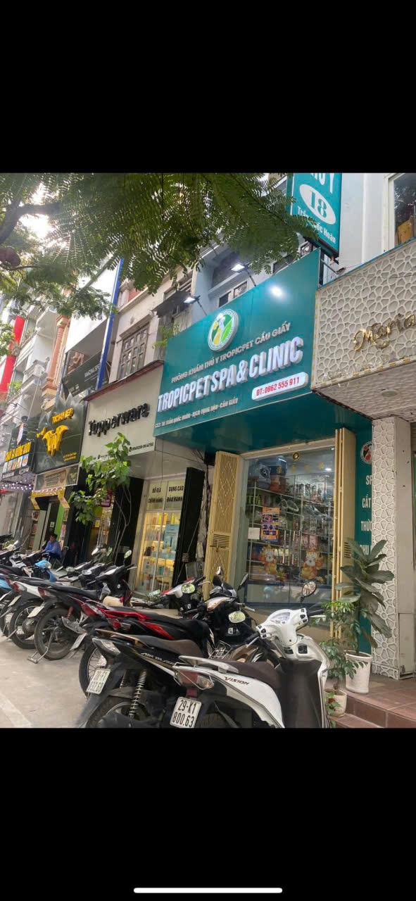 DUY NHẤT 1 CĂN ! MP trần Quốc Hoàn Cầu Giấy vỉ hè ôt tránh KD 45m x 5T nhỉnh 37 tỷ TL