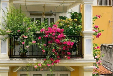 Bán nhà đẹp Trần Quang Diệu – QUẬN 3 – 4.3 x 14 m – 5 Tầng – 9 tỷ