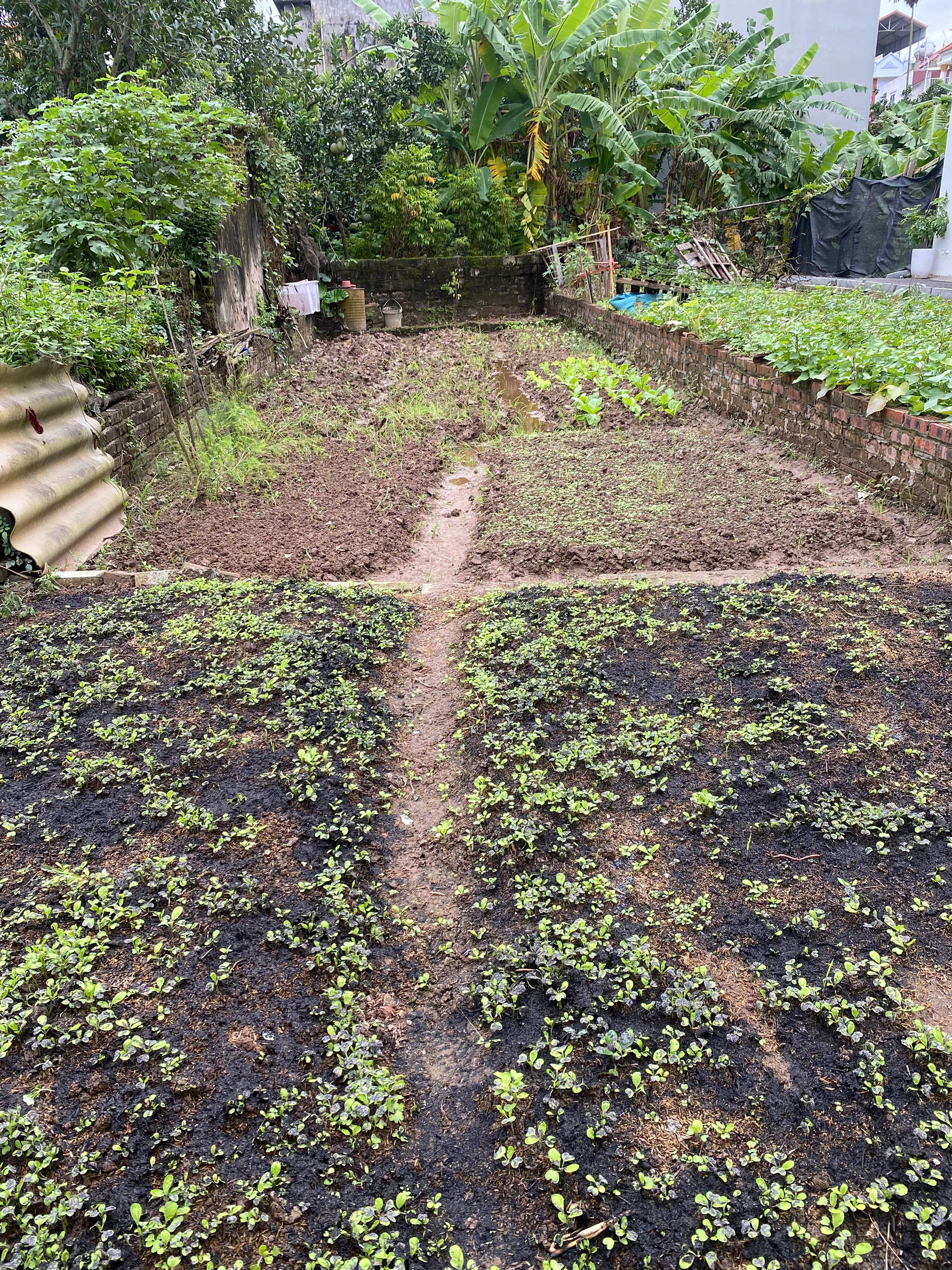 BÁN ĐẤT MAI LÂM ĐÔNG ANH,OTO VÀO NHÀ, NGÕ THÔNG, GẦN CHỢ,TRƯỜNG, 50M