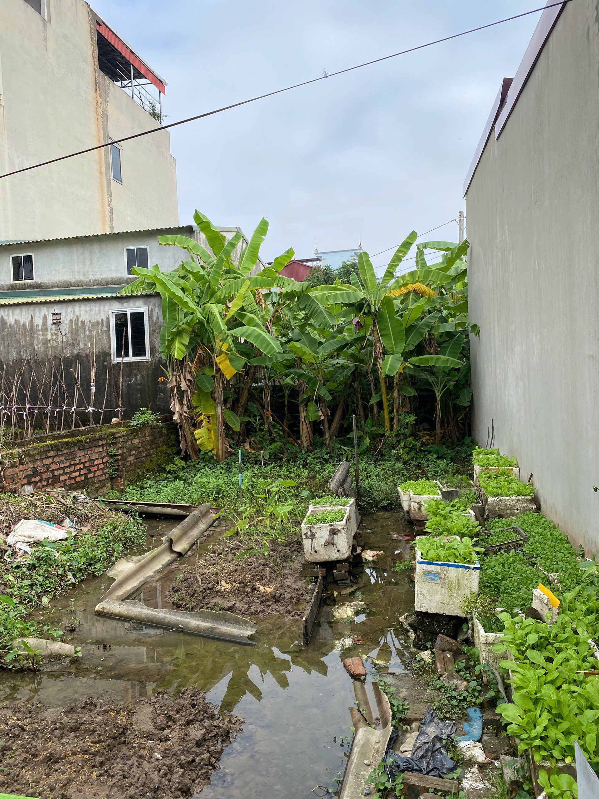 BÁN ĐẤT LẠI ĐÀ, ĐÔNG HỘI, ĐÔNG ANH, HỒ ĐIỀU HOÀ,HÀNG XÓM VIN,OTO,NGÕ THÔNG 58M