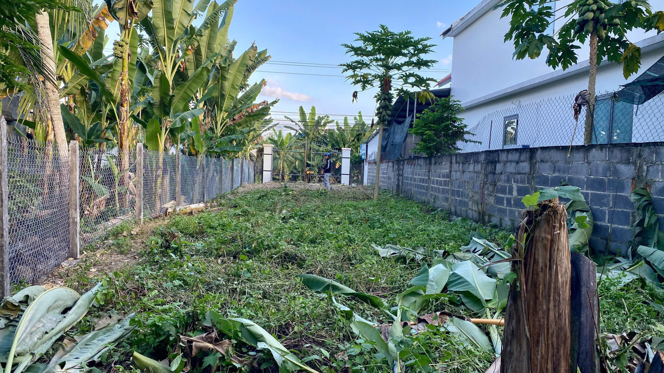 BÁN LÔ ĐẤT MẶT TIỀN ĐƯỜNG SÔNG CÁI, DIÊN LÂM, DIÊN KHÁNH.