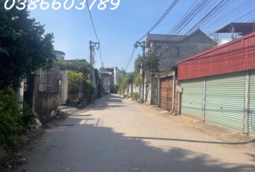 BÁN NHÀ ĐẤT 252/270M² – MẶT TIỀN 9.8M – 1 TẦNG – PHỐ NGUYỄN VĂN LINH – GIÁ 23.5 TỶ