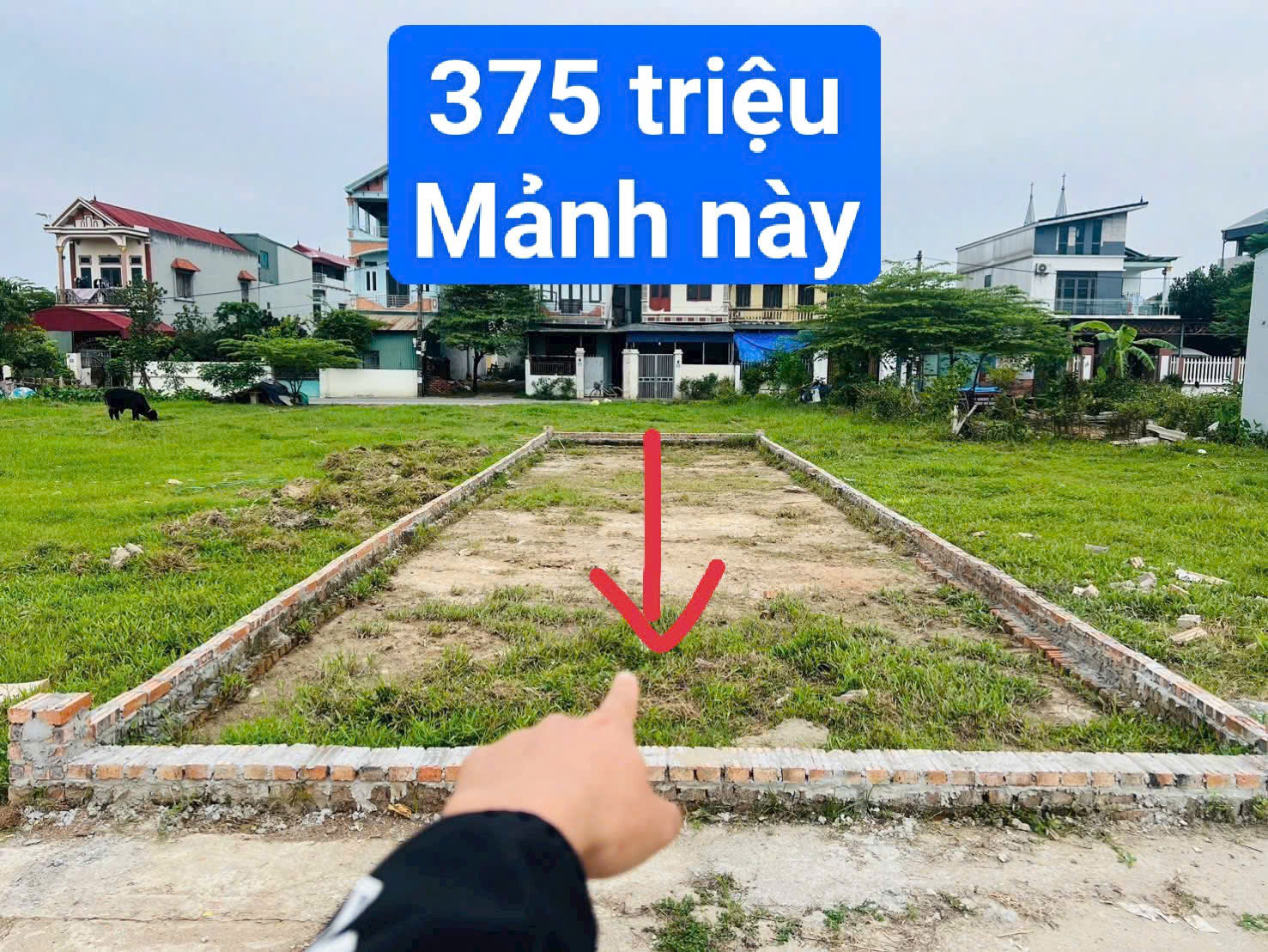 Đầu tư đất Lạc Thủy giá rẻ bất ngờ – 375 triệu có ngay lô đẹp!