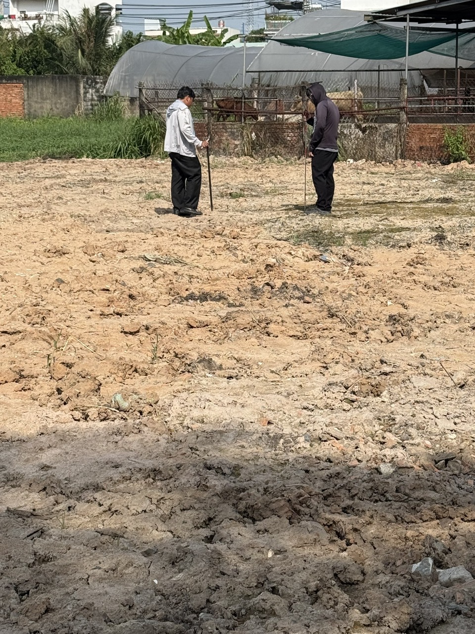 CHÍNH CHỦ BÁN ĐẤT NỀN 110m² – ĐƯỜNG ẤP 1, XÃ ĐÔNG THẠNH, HÓC MÔN – GIÁ 3,85 TỶ