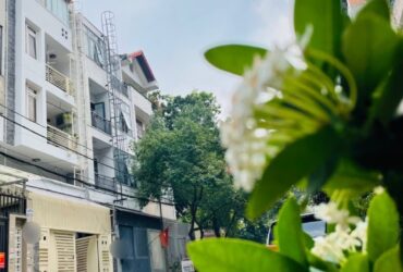 ‼️ Ngay VinCom Nguyễn Xí – Phân lô đồng bộ – Mặt tiền kinh doanh, có dòng tiền – ngang 5m bề thế – chỉ 15 tỷ (tl)