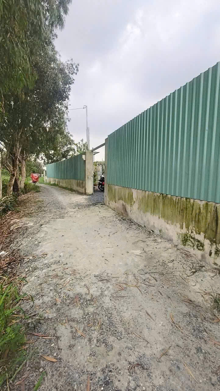 CHÍNH CHỦ BÁN VƯỜN CÂY ĂN TRÁI NGHỈ DƯỠNG – THỚI TAM THÔN, HÓC MÔN