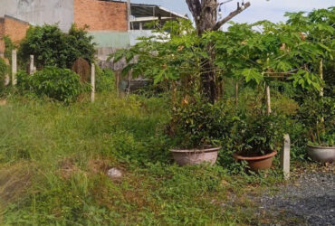 BÁN ĐẤT CHÍNH CHỦ VỊ TRÍ ĐẸP ĐƯỜNG TỈNH LỘ 825 – ĐỨC HÒA HẠ, LONG AN