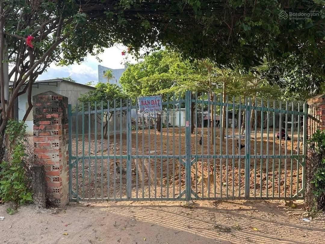 CHÍNH CHỦ BÁN ĐẤT MẶT TIỀN TL 639 – CÁT TIẾN – PHÙ CÁT